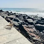 -montorian -lanzarote *