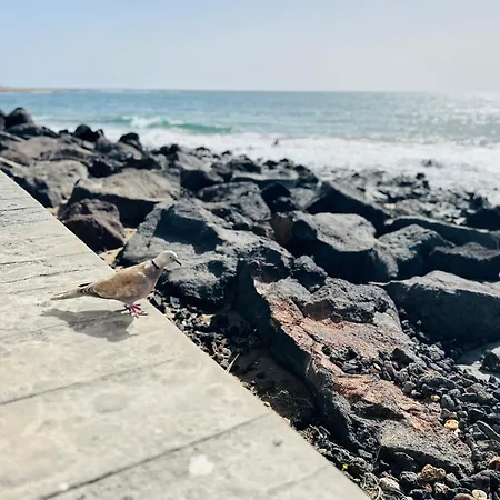 -montorian -lanzarote *