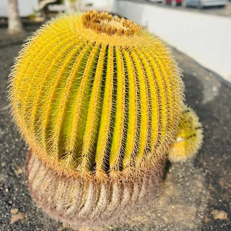 Apartment -montorian -lanzarote *