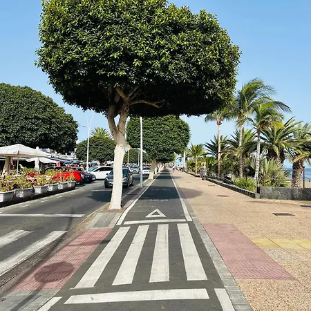 -montorian -lanzarote ティアス