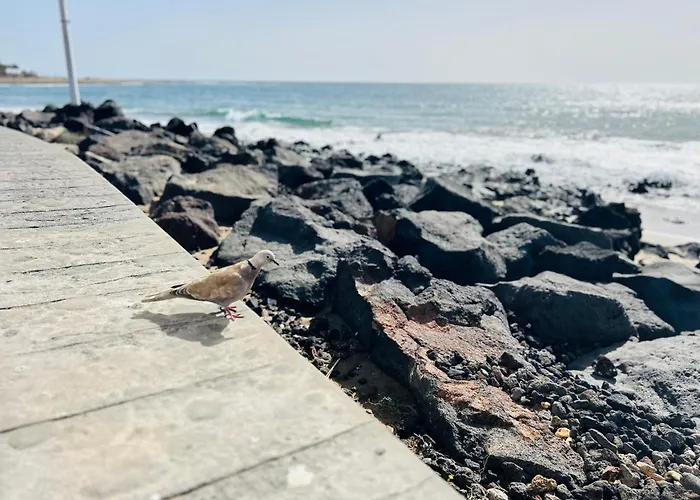 -montorian -lanzarote *